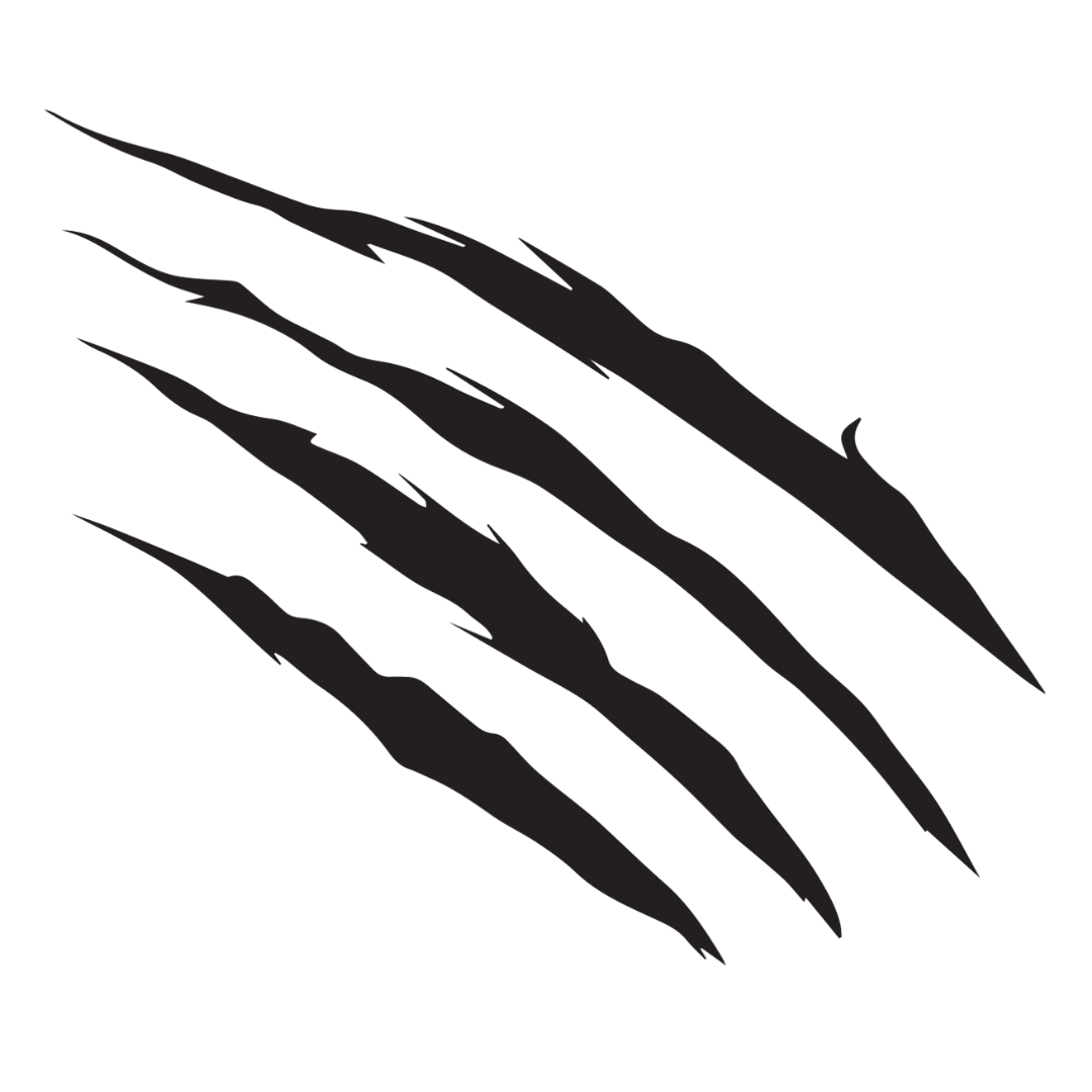 TIGRIS Jiu